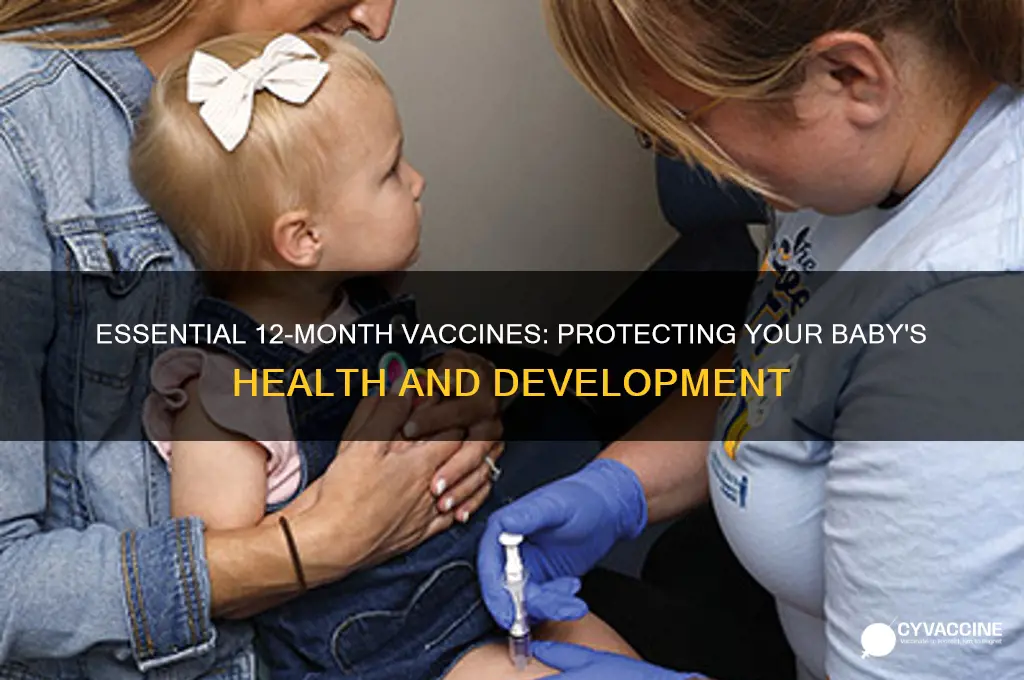 what vaccines do you administer at 12 months