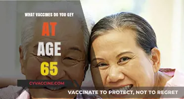 Essential Vaccines for Seniors: Protecting Health at 65 and Beyond