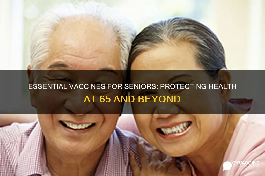 what vaccines do you gey at age 65