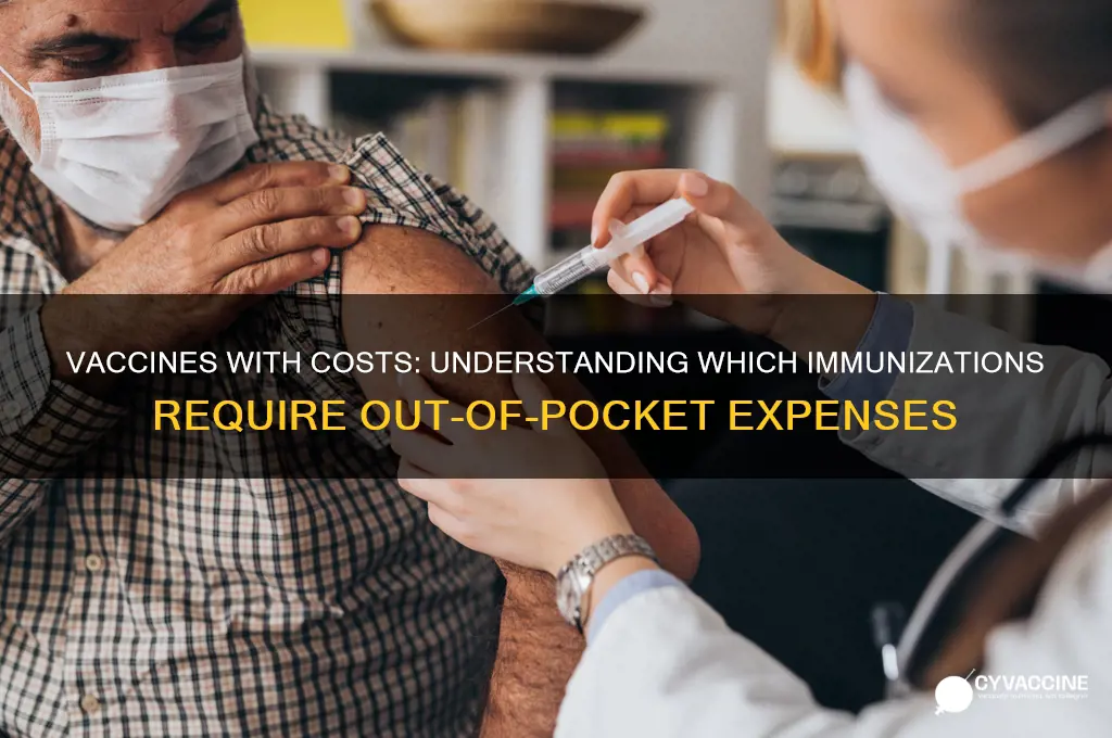 what vaccines do you have to pay for
