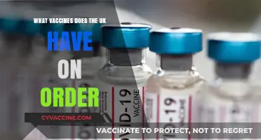 UK's Vaccine Procurement: A Comprehensive Overview of Ordered Supplies