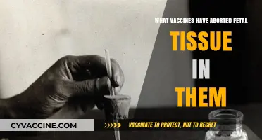 Aborted Fetal Tissue in Vaccines: Which Ones and Why?