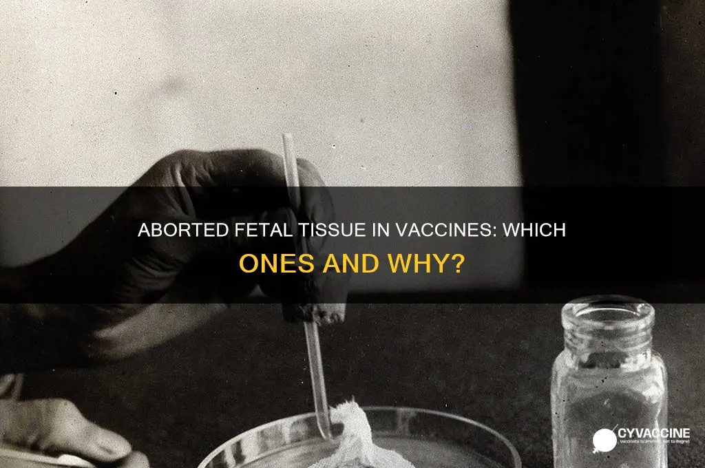 what vaccines have aborted fetal tissue in them