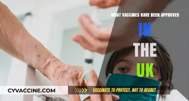 Approved Vaccines in the UK: A Comprehensive List and Overview