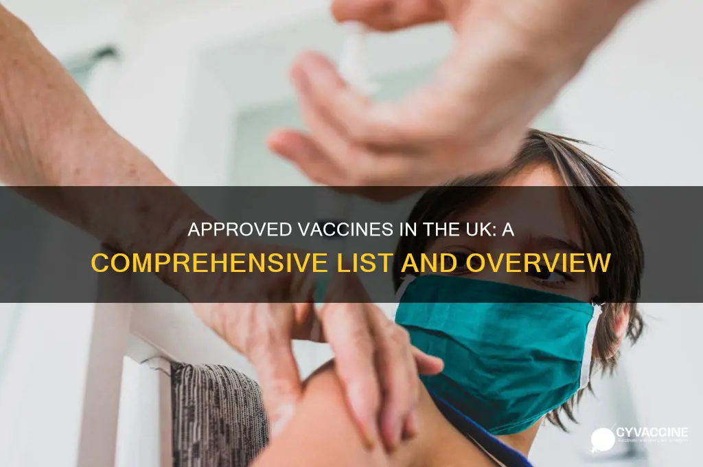 what vaccines have been approved in the uk