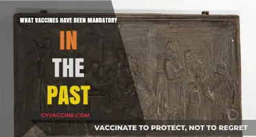 Historical Mandatory Vaccines: A Look at Past Immunization Requirements