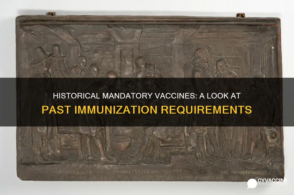 what vaccines have been mandatory in the past