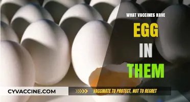 Egg-Based Vaccines: Which Shots Contain Egg Proteins and Why?