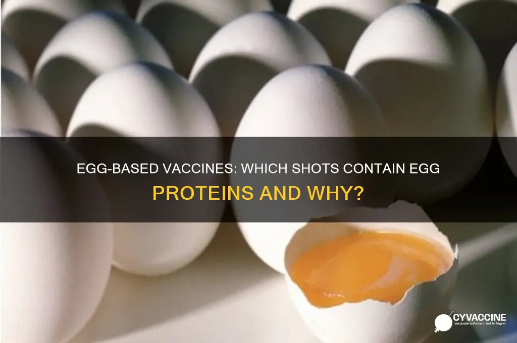 what vaccines have egg in them