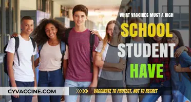 Essential Vaccines for High School Students: A Comprehensive Health Guide