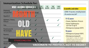 Essential Vaccines for Your 2-Month-Old Baby: A Parent’s Guide