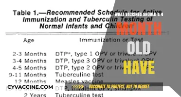 Essential Vaccines for Your 4-Month-Old Baby: A Parent’s Guide
