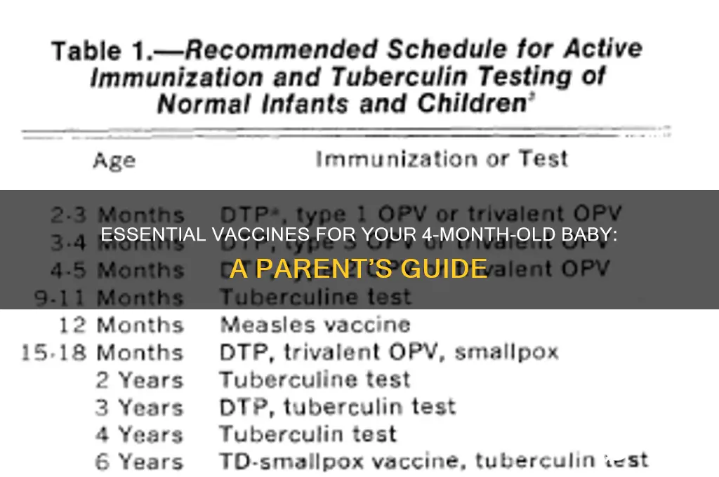 what vaccines should a 4 month old have