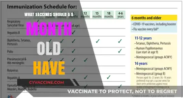 Essential Vaccines for Your 5-Month-Old Baby: A Parent’s Guide