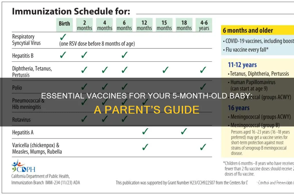 what vaccines should a 5 month old have