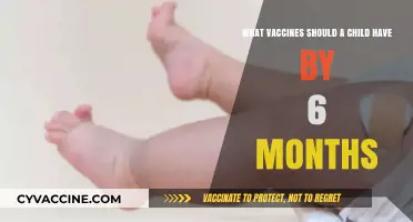 Essential Vaccines for Your Baby's First Six Months of Life