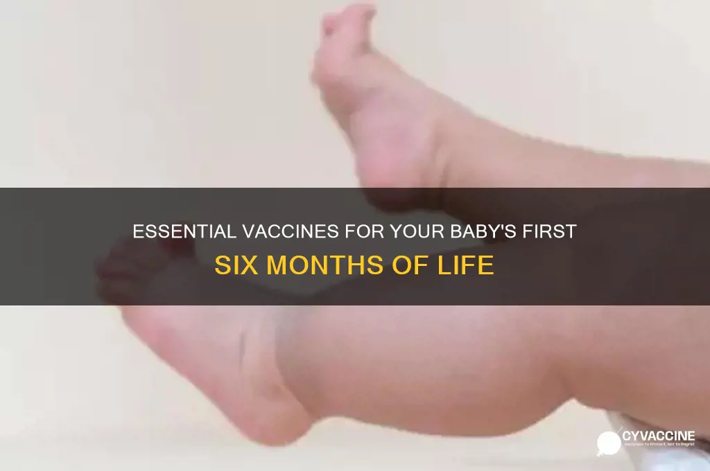 what vaccines should a child have by 6 months