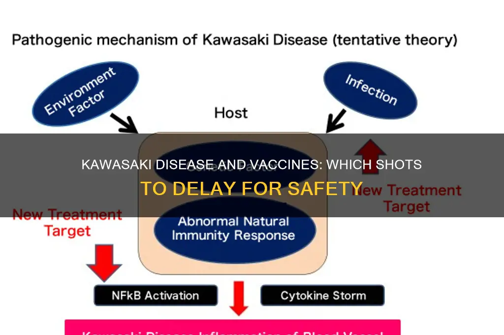 what vaccines should be delayed with kawasaki disease