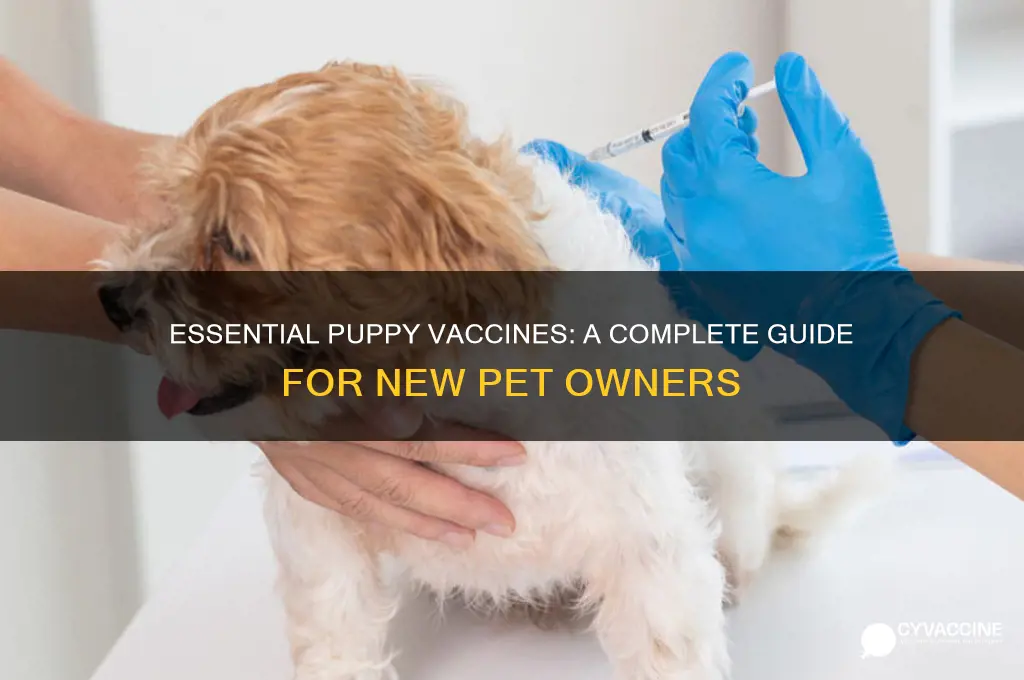 what vaccines should i do for a puppy