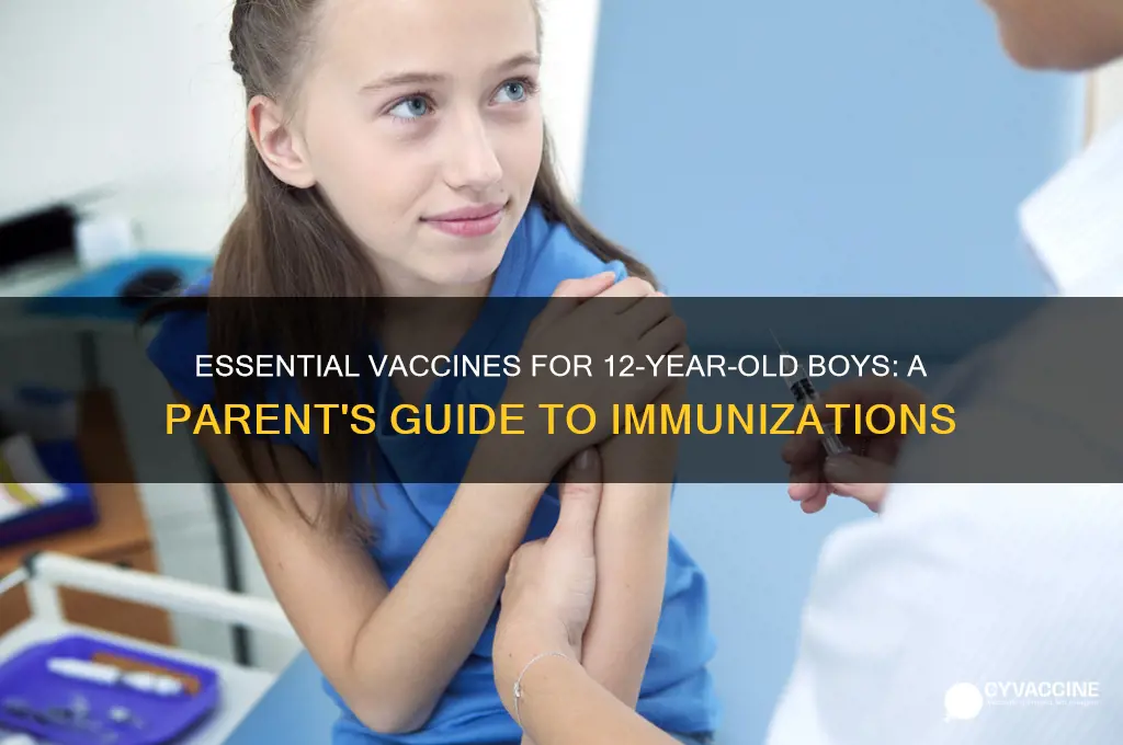 what vaccines should my 12 yr old son have
