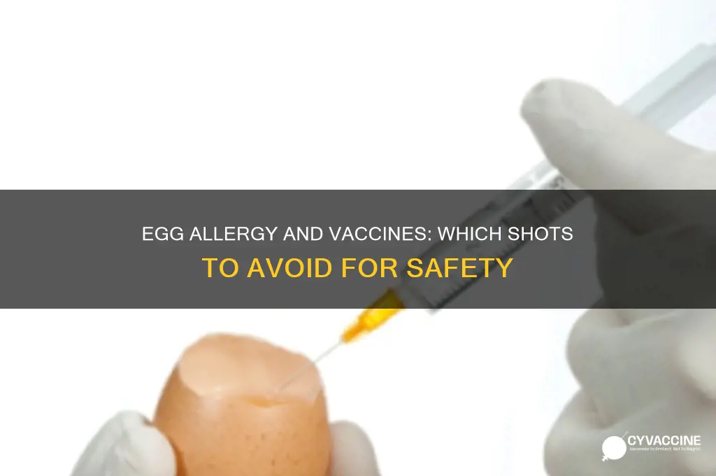 what vaccines should you avoid if you have egg allergy