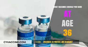 Essential Vaccines for Adults: Your Health Checklist at Age 36
