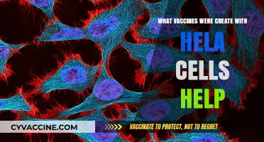 Hela Cells' Role in Developing Key Vaccines: A Breakthrough