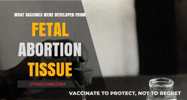 Vaccines and Fetal Tissue: Unraveling the Ethical Development Debate
