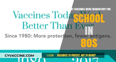 Mandatory School Vaccines in the 80s: A Look Back