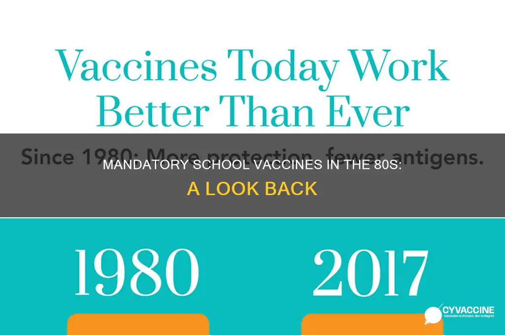 what vaccines were mandatory for school in 80s