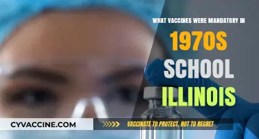 Illinois School Vaccine Mandates: A 1970s Overview