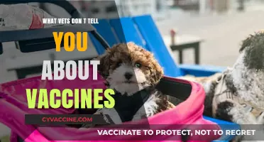 Hidden Vaccine Facts: What Vets May Not Share with Pet Owners