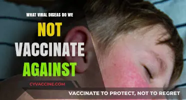 Unvaccinated Viral Threats: Diseases Still Lacking Preventive Vaccines