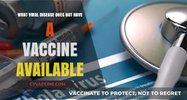 Unprotected: Viral Diseases Still Lacking Available Vaccines Today