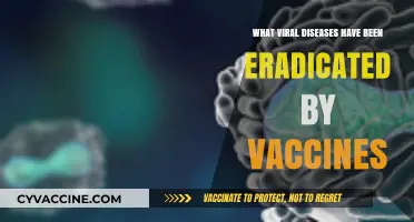 Vaccine Victories: Eradicating Deadly Viral Diseases Globally Through Immunization