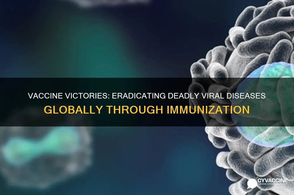 what viral diseases have been eradicated by vaccines