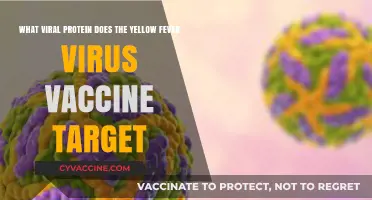Yellow Fever Vaccine: Targeting the E Protein for Immunity