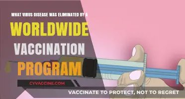 Global Victory: How Vaccination Eradicated Smallpox Worldwide