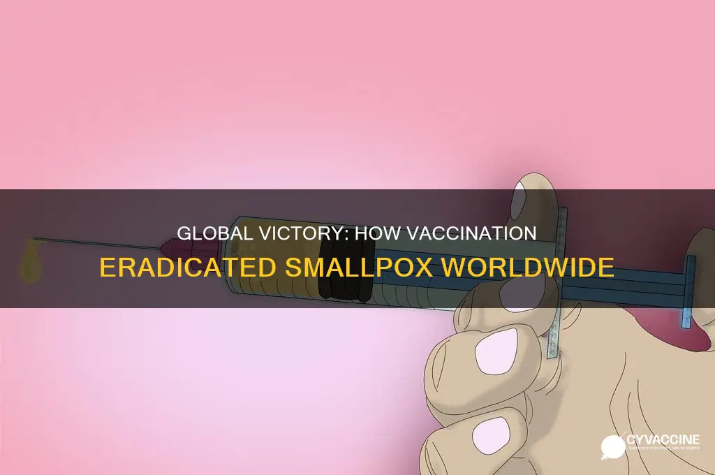 what virus disease was eliminated by a worldwide vaccination program