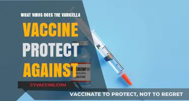 Varicella Vaccine: Shielding Against the Chickenpox Virus Explained