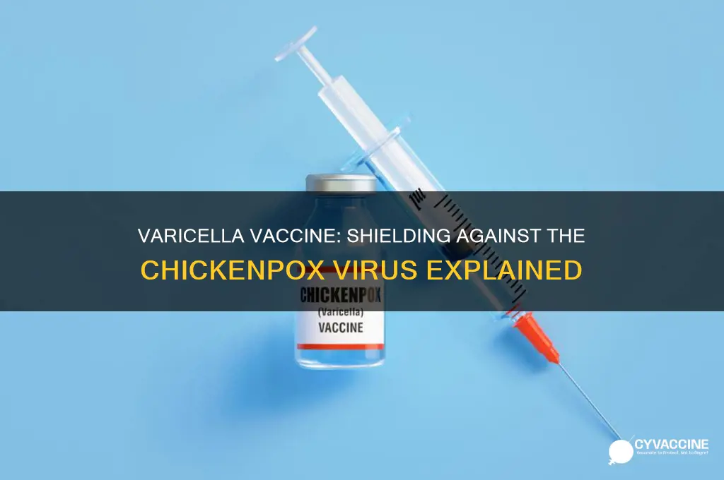 what virus does the varicella vaccine protect against