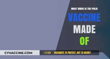 Understanding the Polio Vaccine: Its Origin and Viral Components Explained