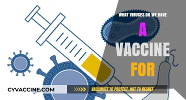 Vaccine-Preventable Viruses: A Comprehensive List of Protected Infections
