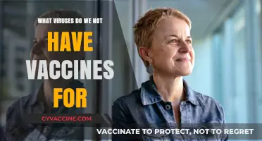 Unprotected: Viruses Still Lacking Vaccines and Why It Matters