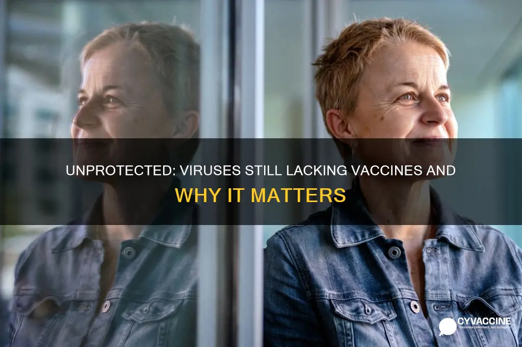 what viruses do we not have vaccines for