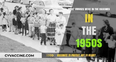 Unveiling the Viral Components of 1950s Vaccines: A Historical Overview
