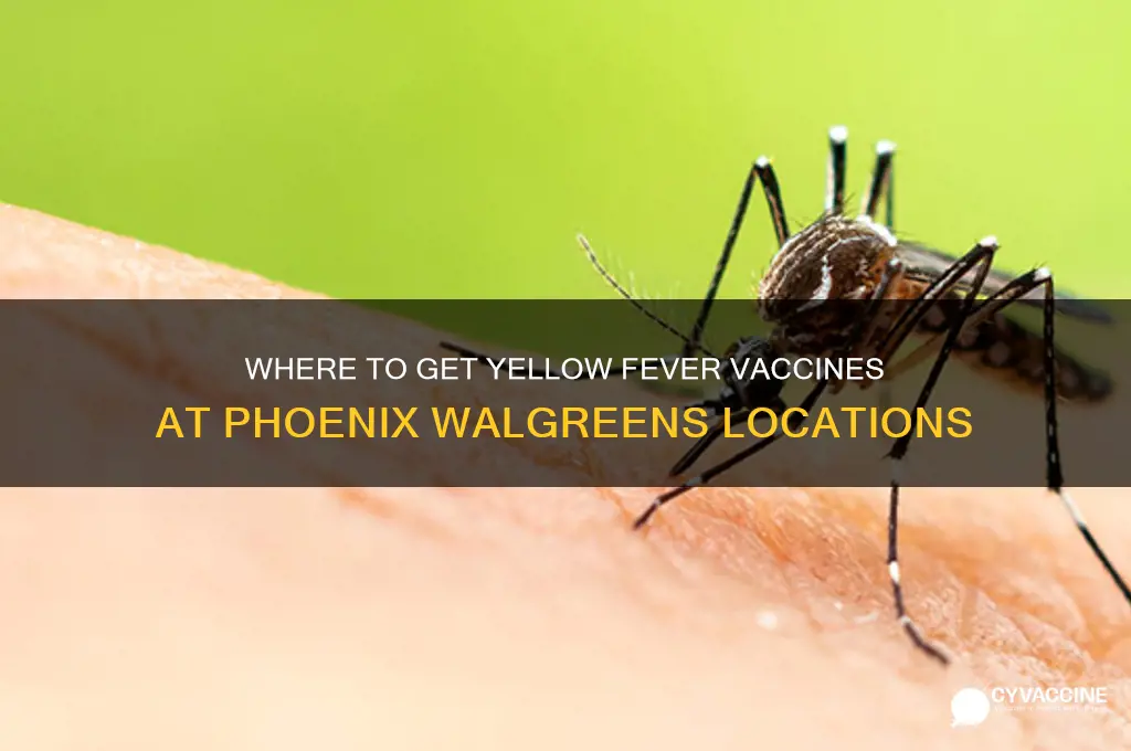 what walgrerns offer yellow fever vaccines in phoenix