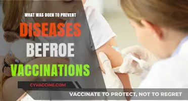 Pre-Vaccine Disease Prevention: Ancient Methods and Practices Explained