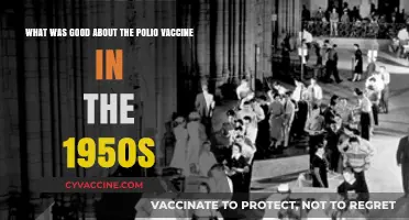 The 1950s Polio Vaccine: A Lifesaving Medical Breakthrough and Legacy