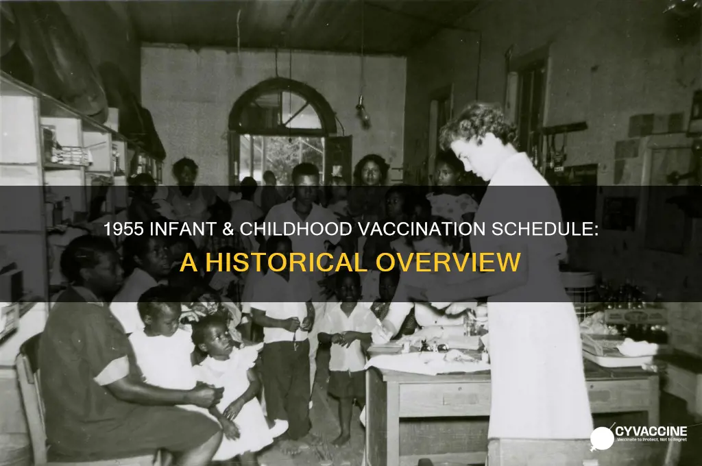 what was infant and childhood vaccination schedule in nov 1955